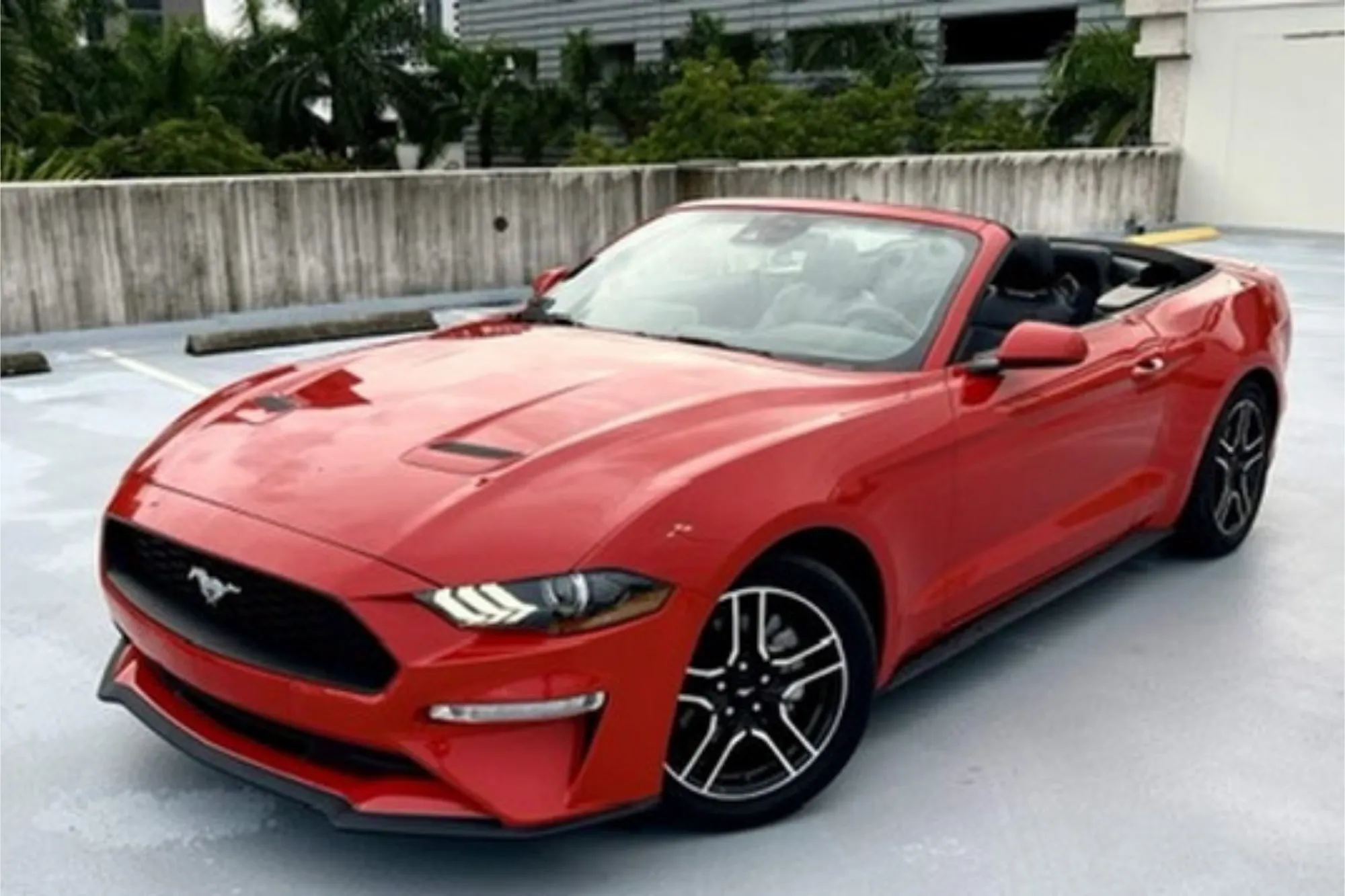 Ford Mustang gallery view